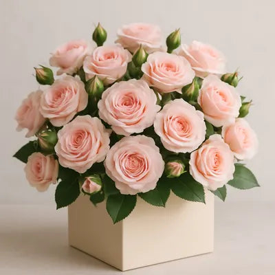Baby Roses