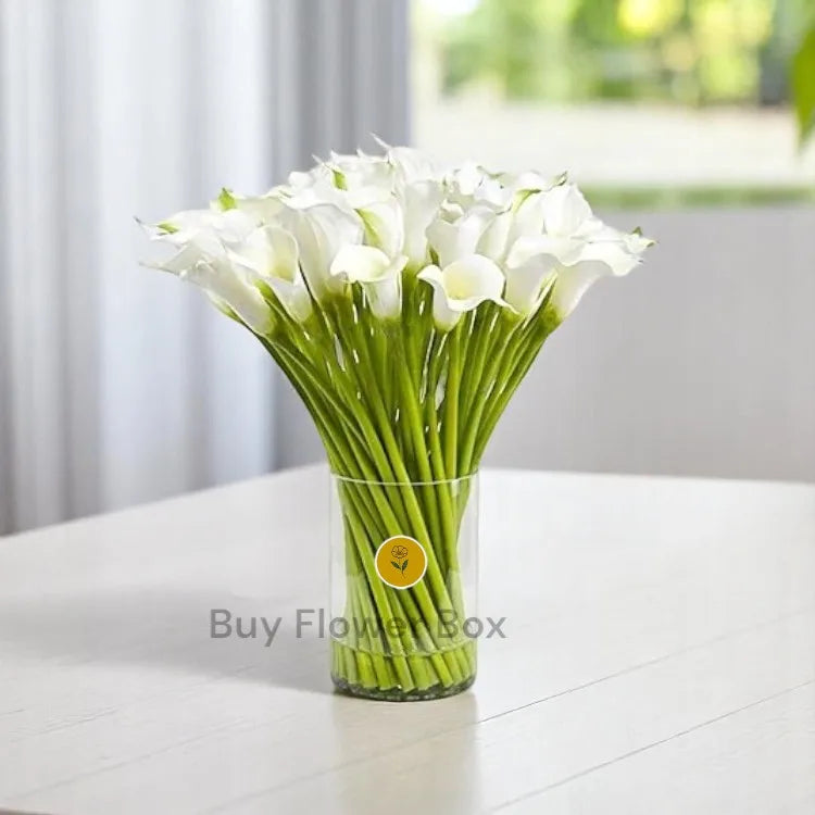 White Calla Lilies Vase