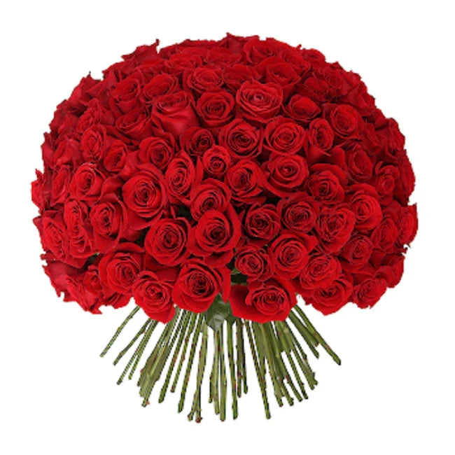 100 Roses Delivery in Kuwait