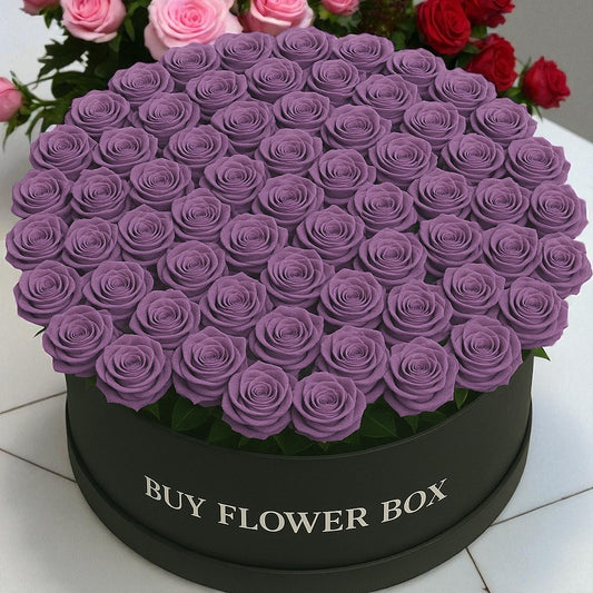 100 Purple Roses Box
