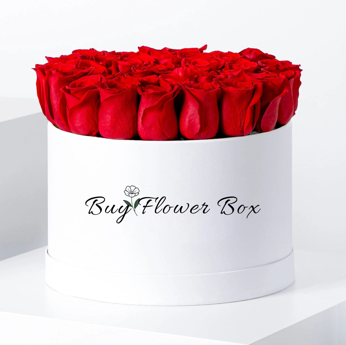 White flower box filled with red roses on a white background, featuring 'Buy Flower Box' branding.