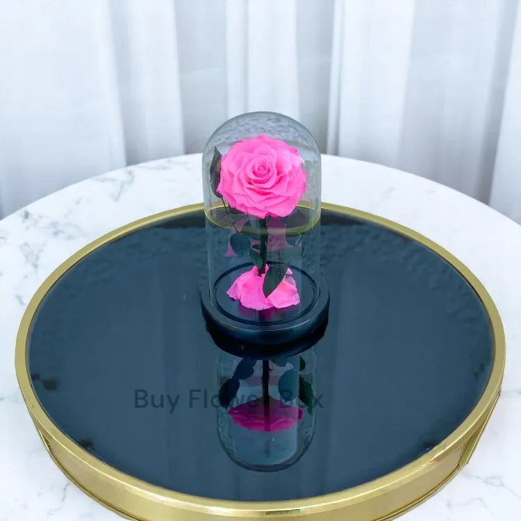 Pink Forever Rose