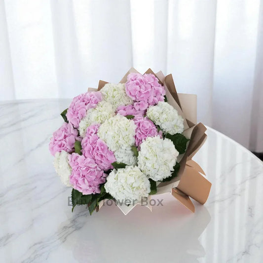 Pink and White Hydrangeas