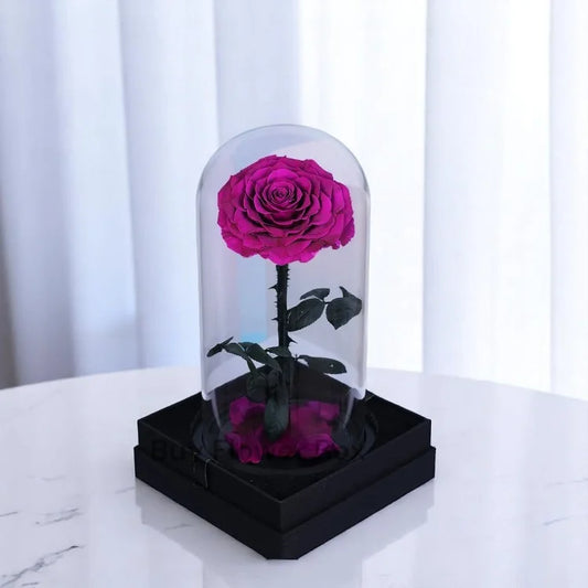 Purple Forever Rose