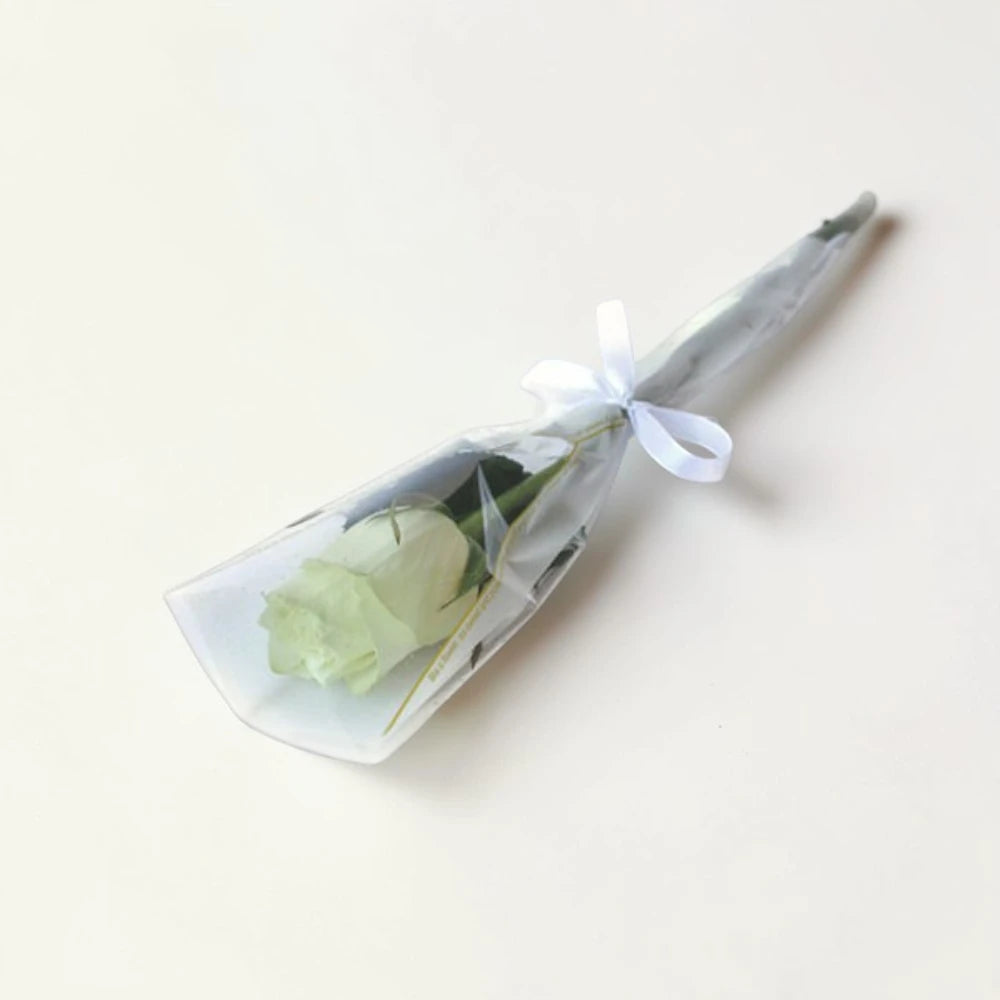 Single white rose wrapped in clear plastic with a white ribbon on a light beige background