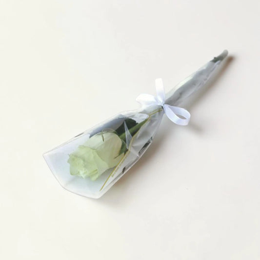 Single white rose wrapped in clear plastic with a white ribbon on a light beige background