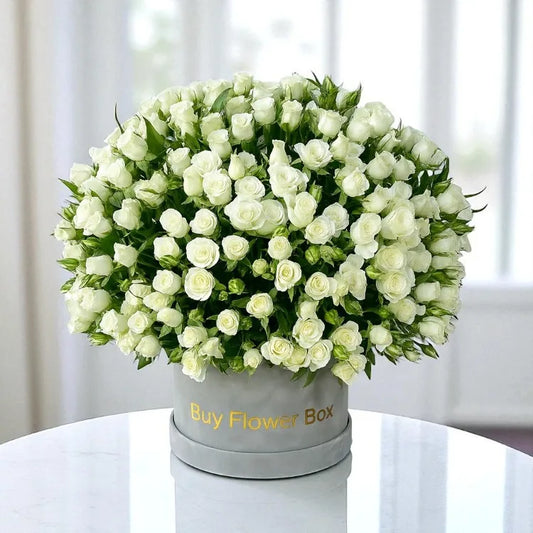 White Baby Roses Box