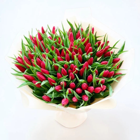 Bouquet of red tulips with green leaves in a white container on a light background
