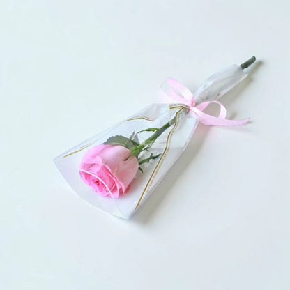 Single Pink rose in a clear packaging with a pink ribbon on a white background